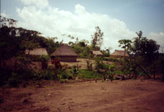Yekuana Dorf